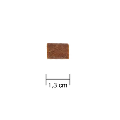 Pravokoten kos suhe hrane dolžine 1,3 cm, prikazan z merilom.