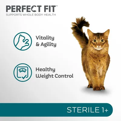 Vitality and agility, healthy weight control, sterile 1 plus. Image shows a cat with icons highlighting these product benefits.