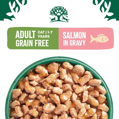 James Wellbeloved Grain-Free Adult Hypoallergenic Pouches - Salmon in Gravy - 12 x 85g James Wellbeloved Grain-Free Adult Hypoallergenic Pouches - Salmon in Gravy - 12 x 85g