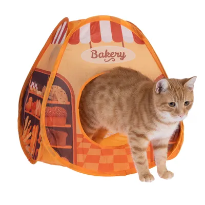 Katzenzelt im Bäckerei-Design mit orangefarbenen Akzenten und Brot-Motiven. Roter Kater verlässt das Zelt durch die Öffnung.