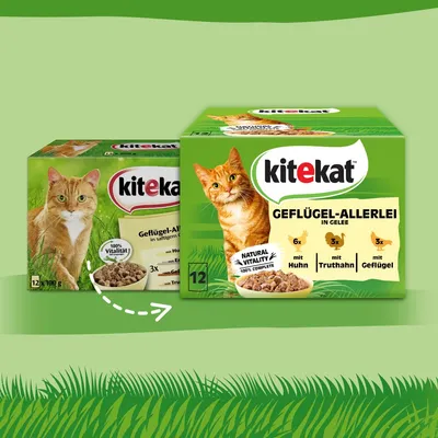 Kitekat Geflügel-Allerlei in Gelee, 12x100g. Natural Vitality 100% Complete. Sorten: 6x Huhn, 3x Truthahn, 3x Geflügel.
