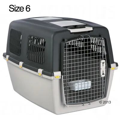 Plastic and metal pet carrier, size 6, with wire door and side ventilation panels. Text 'Size 6' visible top left. © 2013 in lower right corner.