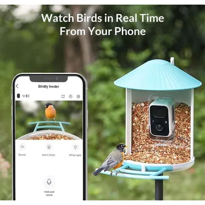 Fuglefoderautomat med kamera, live-overførsel til din smartphone. Tekst: Se fugle i realtid fra din telefon. Appen viser fuglen og giver kontrolmuligheder. Fuglefoderautomat med kamera, live-overførsel til din smartphone. Tekst: Se fugle i realtid fra din telefon. Appen viser fuglen og giver kontrolmuligheder.