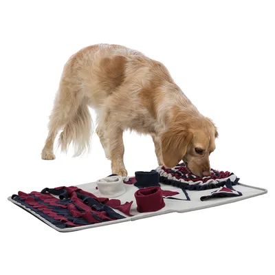 Hund untersucht eine Schnüffelmatte mit verschiedenen Stoffelementen in Rot, Blau und Weiß. Geeignet für interaktives Spielen und Beschäftigung.