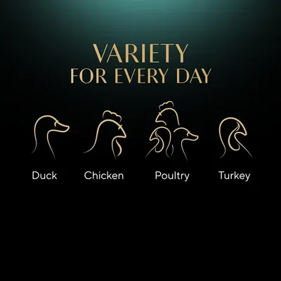 Variety for every day. Product offers duck, chicken, poultry and turkey options, shown with outline icons and labelled beneath each type.
