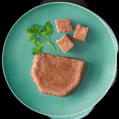 Portion of wet pet food with three cut cubes and a sprig of parsley on a green plate, showing product texture and serving suggestion.