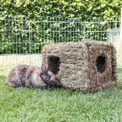 Iepure lângă un adăpost dreptunghiular din iarbă naturală cu două intrări, așezat pe o pajiște în fața unui gard metalic.