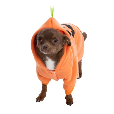 Hundekostume i orange med græskar-design og grønne bladeapplikationer på hætten.