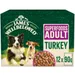 James Wellbeloved Adult Hypoallergenic Superfoods Pouches - Turkey in Gravy