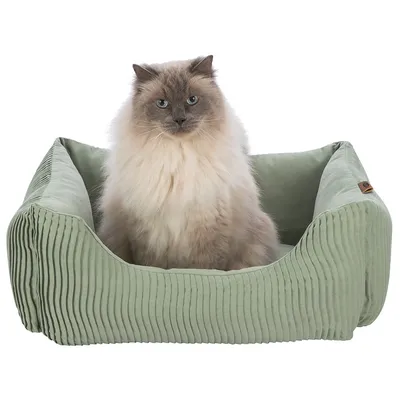 Katzenbett in grünem Stoff mit geripptem Design, Katze sitzt darin. Sichtbare Details: rechteckige Form, erhöhte Seitenwände, braunes Logo-Etikett an der Seite.