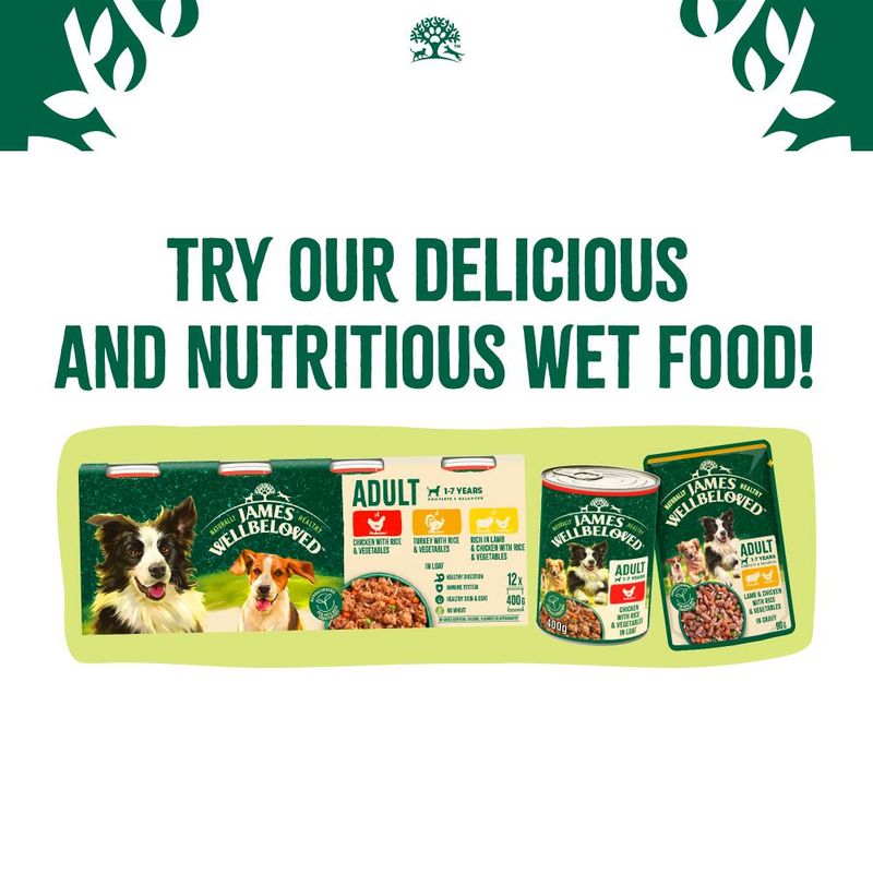 James Wellbeloved Adult Hypoallergenic Superfoods - Lamb with Potato & Chia