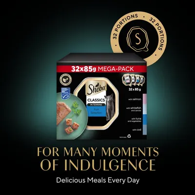 Sheba Classics in Terrine Fish Selection mega-pack, 32 portions of 85g each. Includes salmon, whitefish with carrots, tuna and vegetables, and cod. Delicious meals every day.