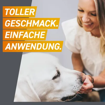 Toller Geschmack. Einfache Anwendung. Weißer Hund wird gefüttert.