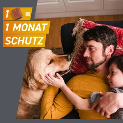 Frontpro Kautablette gegen Zecken und Flöhe, für Hunde 2 bis 4 kg