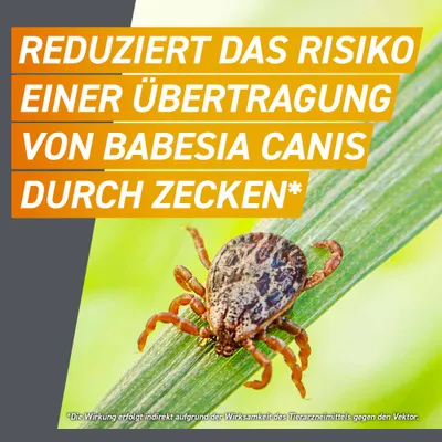 Frontpro Kautablette gegen Zecken und Flöhe, für Hunde >4 bis 10 kg