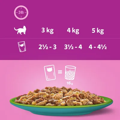 Feeding guide showing daily portions by cat weight: 3kg needs 2.5–3 pouches, 4kg needs 3.5–4, 5kg needs 4–4.5. One pouch equals 16g of dry food.