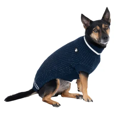 Hund trägt dunkelblauen Strickpullover mit weissem Rand und Pfoten-Logo auf der Seite.