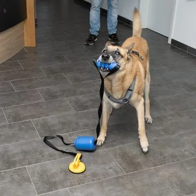 Nomad Tales играчка за дърпане с диспенсър за лакомства Spirit