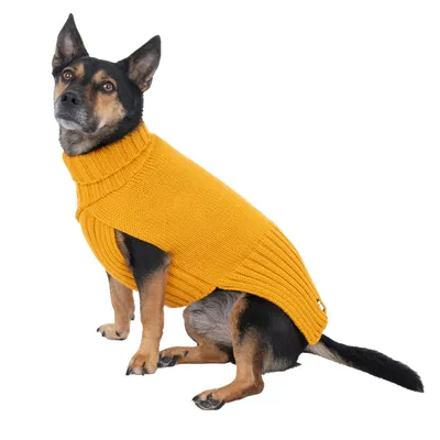 Hund trägt einen gelben Strickpullover mit Rollkragen und seitlichem Knopfdetail.