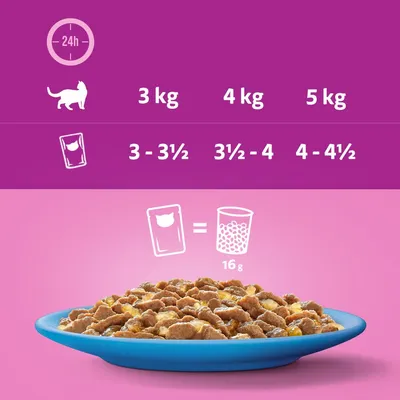 Feeding guide showing daily portions for cats: 3kg cat needs 3 to 3.5 pouches, 4kg needs 3.5 to 4, 5kg needs 4 to 4.5. One pouch equals 16g of dry food.