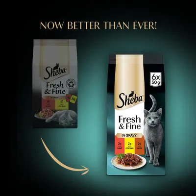 Comparison of old and new Sheba Fresh & Fine in Gravy packaging, highlighting 6 x 50g packs with 2x beef, 2x chicken, and 2x lamb. Text reads: Now better than ever!