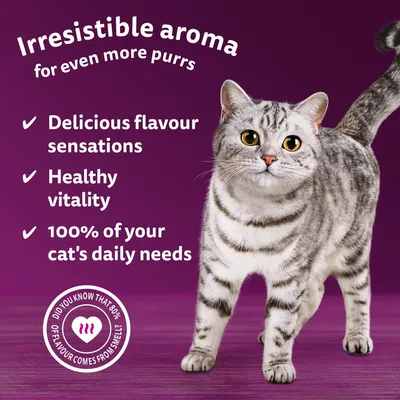 Irresistible aroma, delicious flavour sensations, healthy vitality, and 100% of your cat's daily needs. Includes fact: 80% of flavour comes from smell.