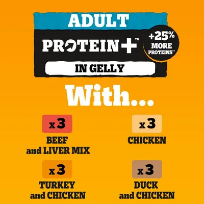 Adult Protein Plus in Gelly, contains 3 x beef and liver mix, 3 x chicken, 3 x turkey and chicken, 3 x duck and chicken. Plus 25% more proteins.