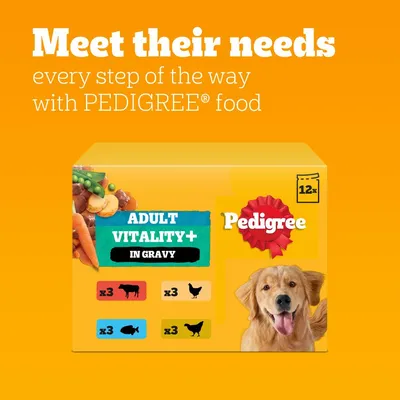 Pedigree Adult Vitality+ in Gravy, 12 pack with 3 each of beef, chicken, fish and another flavour. Text: Meet their needs every step of the way with Pedigree food.
