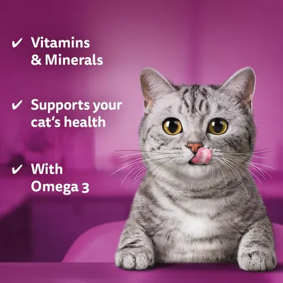 Vitamins and minerals, supports your cat’s health, with Omega 3. Grey tabby cat in foreground.
