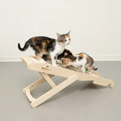 Two cats on a wooden scratching ramp with the inscription 'natural paradise'.