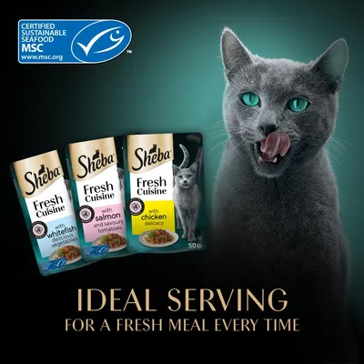 Sheba Fresh Cuisine pouches with whitefish and vegetables, salmon and tomatoes, or chicken delicacy. Certified sustainable seafood MSC. Ideal serving for a fresh meal every time.
