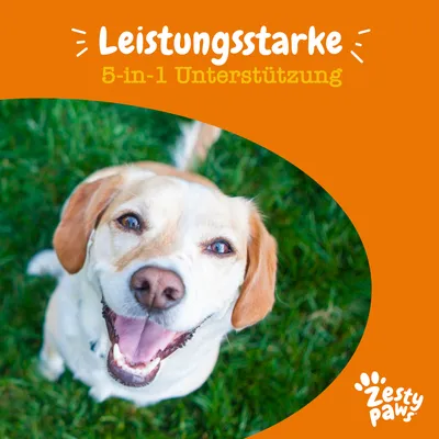 Leistungsstarke 5-in-1 Unterstützung. Zesty Paws Logo unten rechts.