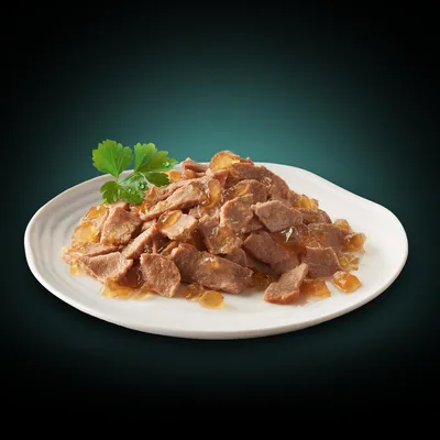 Émincés de viande en sauce servis sur une assiette blanche, garnis d'une branche de persil. Aucun emballage ou marque visible.