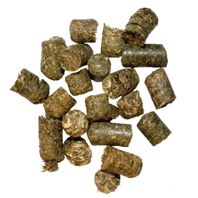 Pellets cylindriques de foin compacté, sans emballage ni marque visible, présentés sur fond blanc.