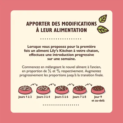 Conseils de transition alimentaire pour chaton Lily’s Kitchen : mélange progressif du nouvel aliment sur 9 jours, proportions augmentées chaque étape, instructions détaillées incluses.