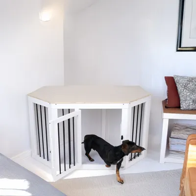 Weisses, achteckiges Hundekäfig mit schwarzen Gitterstäben und offener Tür. Kleiner Hund tritt aus dem Käfig heraus. Käfig steht in einer hellen Wohnzimmerecke.
