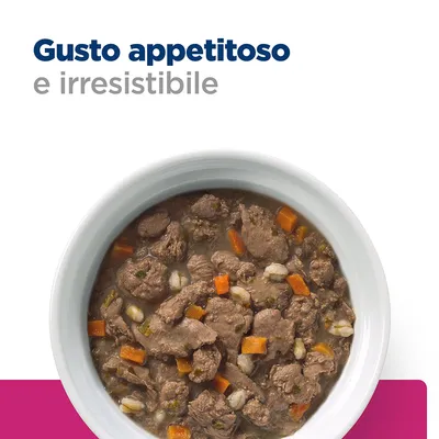 Gusto appetitoso e irresistibile. Ciotola con bocconi di carne, carote e cereali in salsa.
