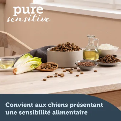 pure sensitive. Convient aux chiens présentant une sensibilité alimentaire. Croquettes dans un bol, huile, riz, graines et endive visibles sur la table.