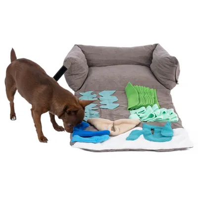 Brown dog examines a grey snuffle mat with colourful fabric elements in blue, green and beige.