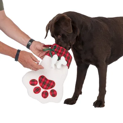 Brauner Hund untersucht eine weisse Pfoten-förmige Tasche mit rotem Karomuster, gehalten von einer Person. Tasche mit grüner Kordel und Knochen-Dekoration.