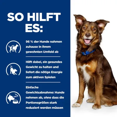 Texte en allemand : 96 % der Hunde nahmen zuhause in ihrem gewohnten Umfeld ab. Hilft dabei, ein gesundes Gewicht zu halten und liefert Energie. Einfache Gewichtsabnahme.