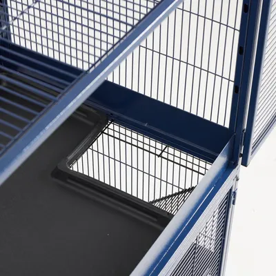 Vue rapprochée d'une cage en métal bleu avec plateau amovible noir et parois grillagées, montrant les détails de la structure et des matériaux.