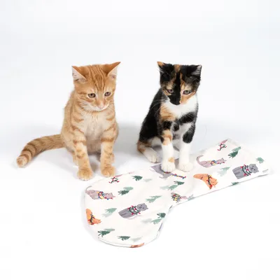 Två kattungar bredvid ett vitt tyg med katt- och julgransmotiv.
