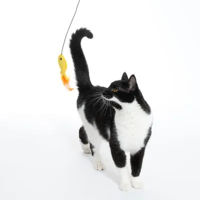 TIAKI висяща играчка с рибка за котки TIAKI висяща играчка с рибка за котки