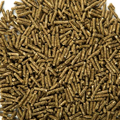 Nahaufnahme von braunen Pellets, möglicherweise Tierfutter oder Snacks. Keine weiteren Informationen sichtbar.