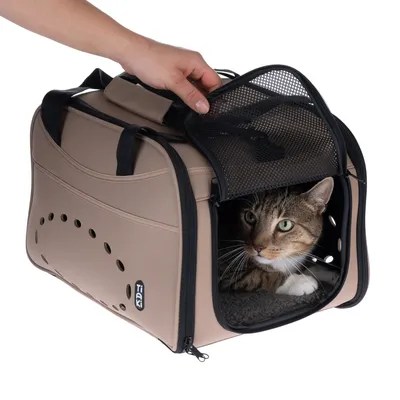 Sac de transport beige Tiaki avec poignée, ouvert sur le dessus, contenant un chat tigré. Aérations latérales visibles, fermeture éclair et maille noire sur l’ouverture.