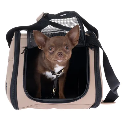 Chihuahua brun assis dans un sac de transport beige et noir avec surface en filet et bandoulière. Sac ouvert, chien visible.