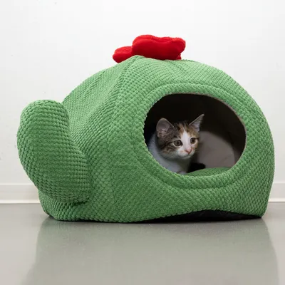 Cuccia per gatti verde in tessuto con accento rosso, gatto all'interno. La cuccia ha apertura rotonda e lati imbottiti.