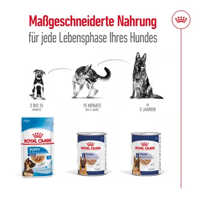 Royal Canin: Massgeschneiderte Nahrung für jede Lebensphase Ihres Hundes. Produkte für Welpen (2-15 Monate), Erwachsene (15 Monate bis 5 Jahre) und ältere Hunde (ab 5 Jahren).