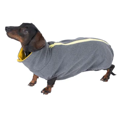 Teckel portant un manteau pour chien en tissu gris avec fermeture éclair jaune sur le dos et doublure intérieure jaune visible au col.